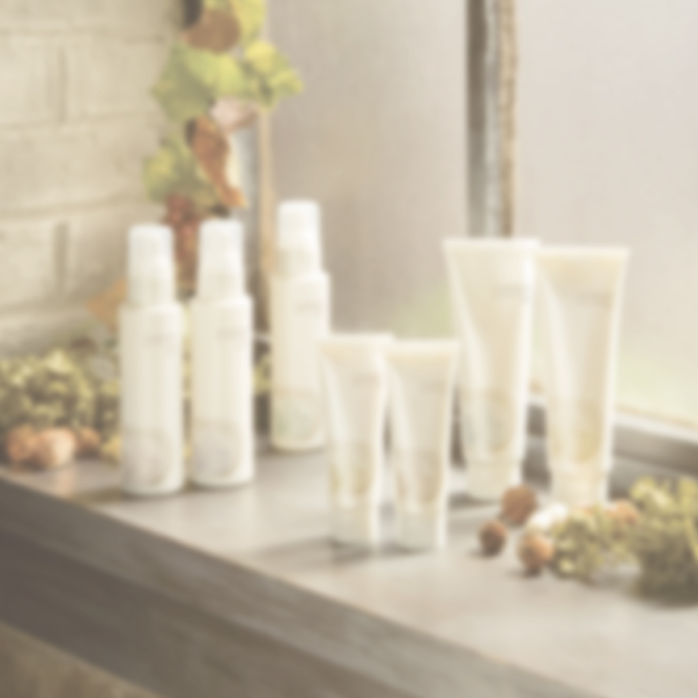 業務用】AE ミスティⅢ SE スペシャルエディション 125g｜with colle