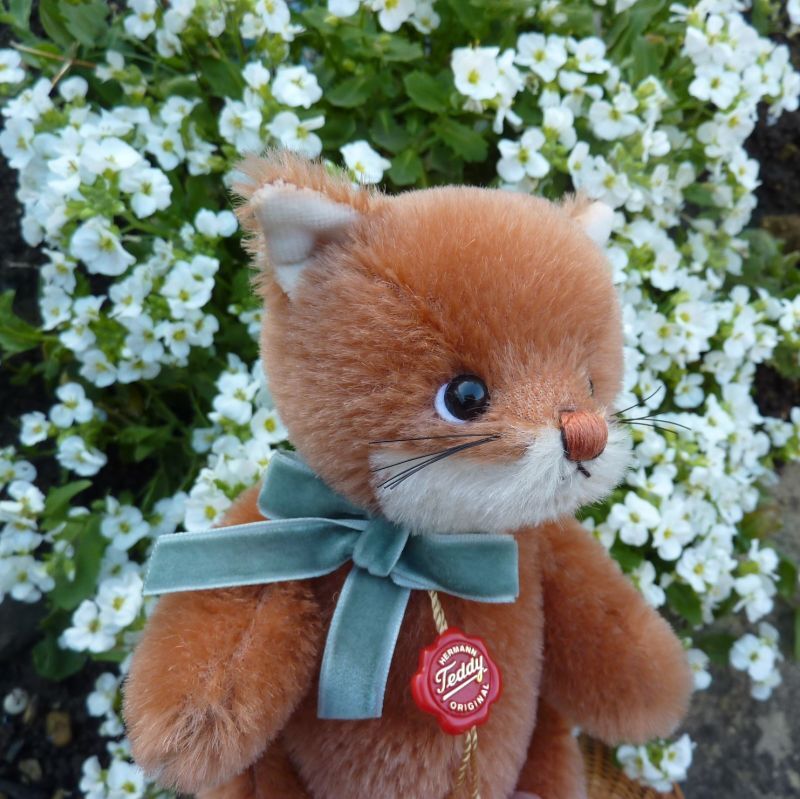 テディハーマン Cat Daphne テディベアオブウィットニー テイクス