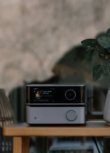 WiiM Vibelink Amp | WiiM