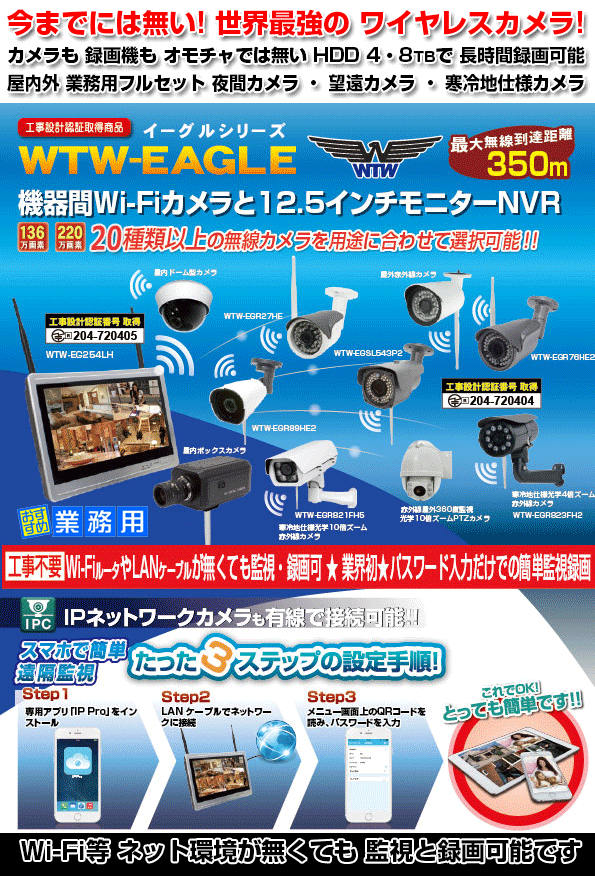 屋外 350m 無線カメラ WTW-No.1 イーグル 防犯カメラ・合法無線 220万