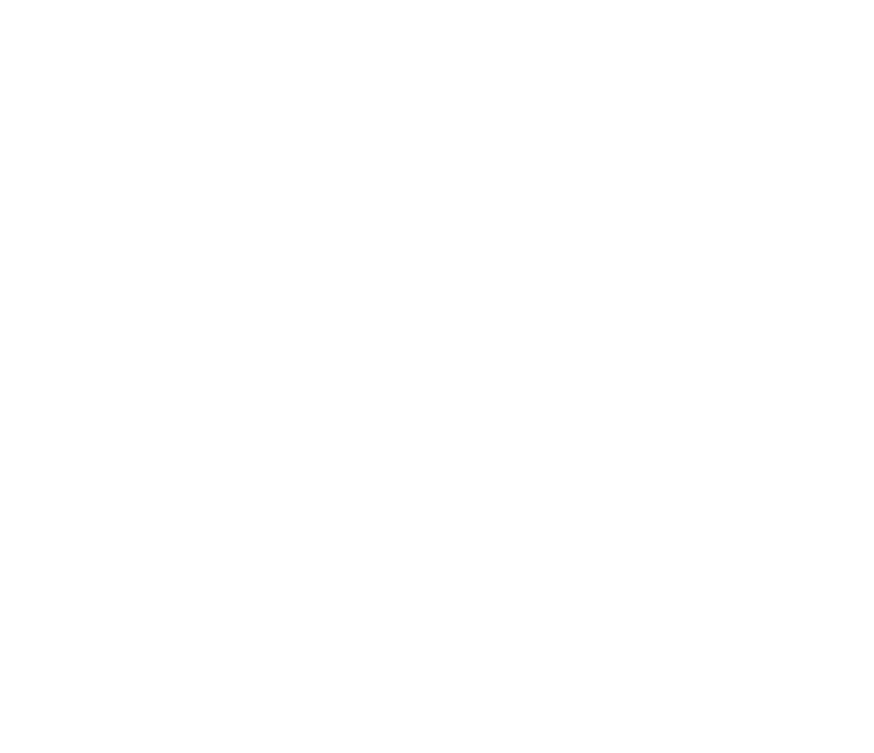 World Young Scientist Summit 2025