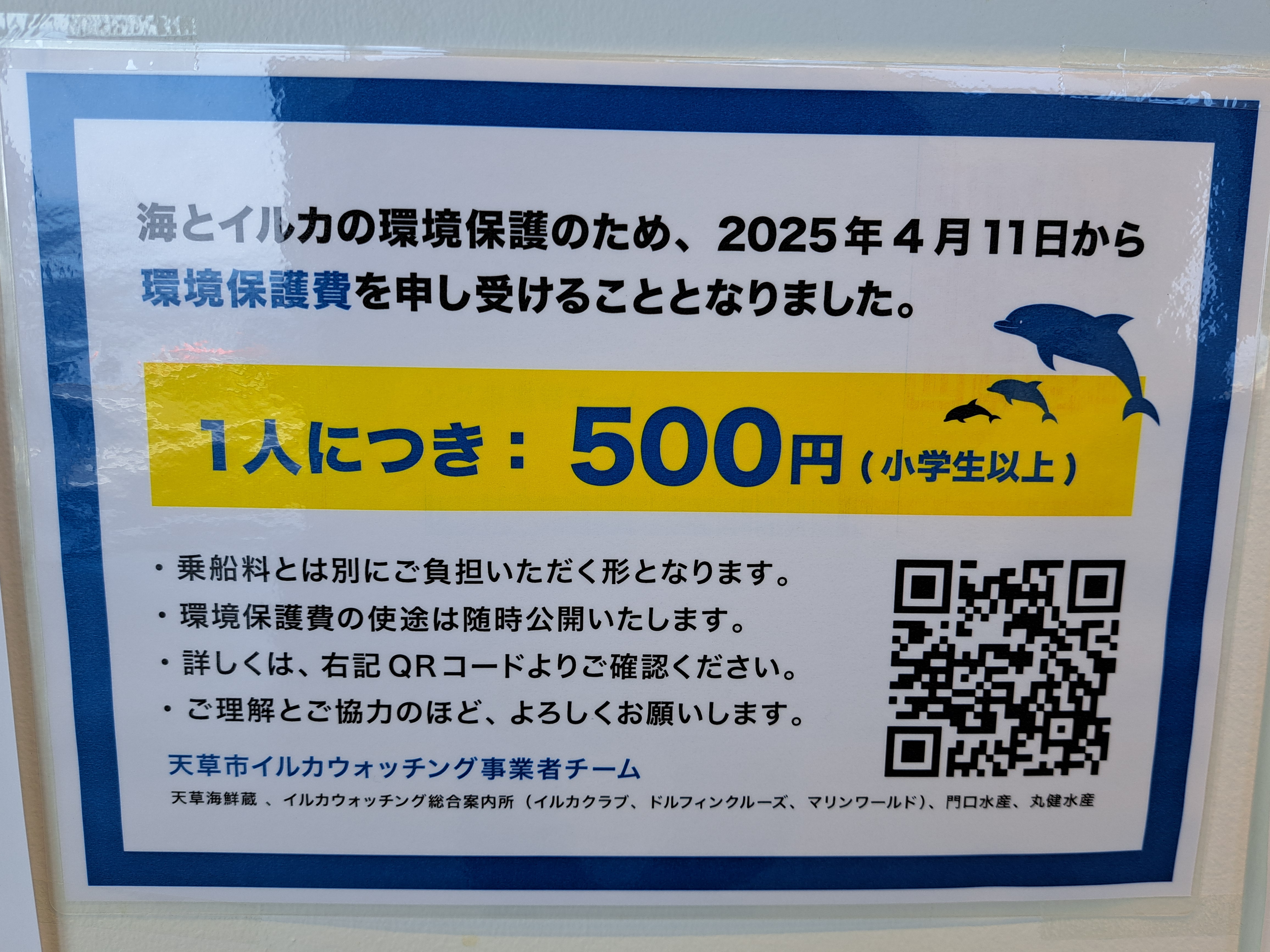 イルカの海開き安全祈願祭 - 熊本県天草観光ガイド