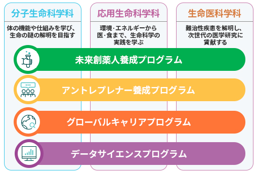 生命科学部 4つのプログラム｜学部紹介｜生命科学部・大学院（生命科学