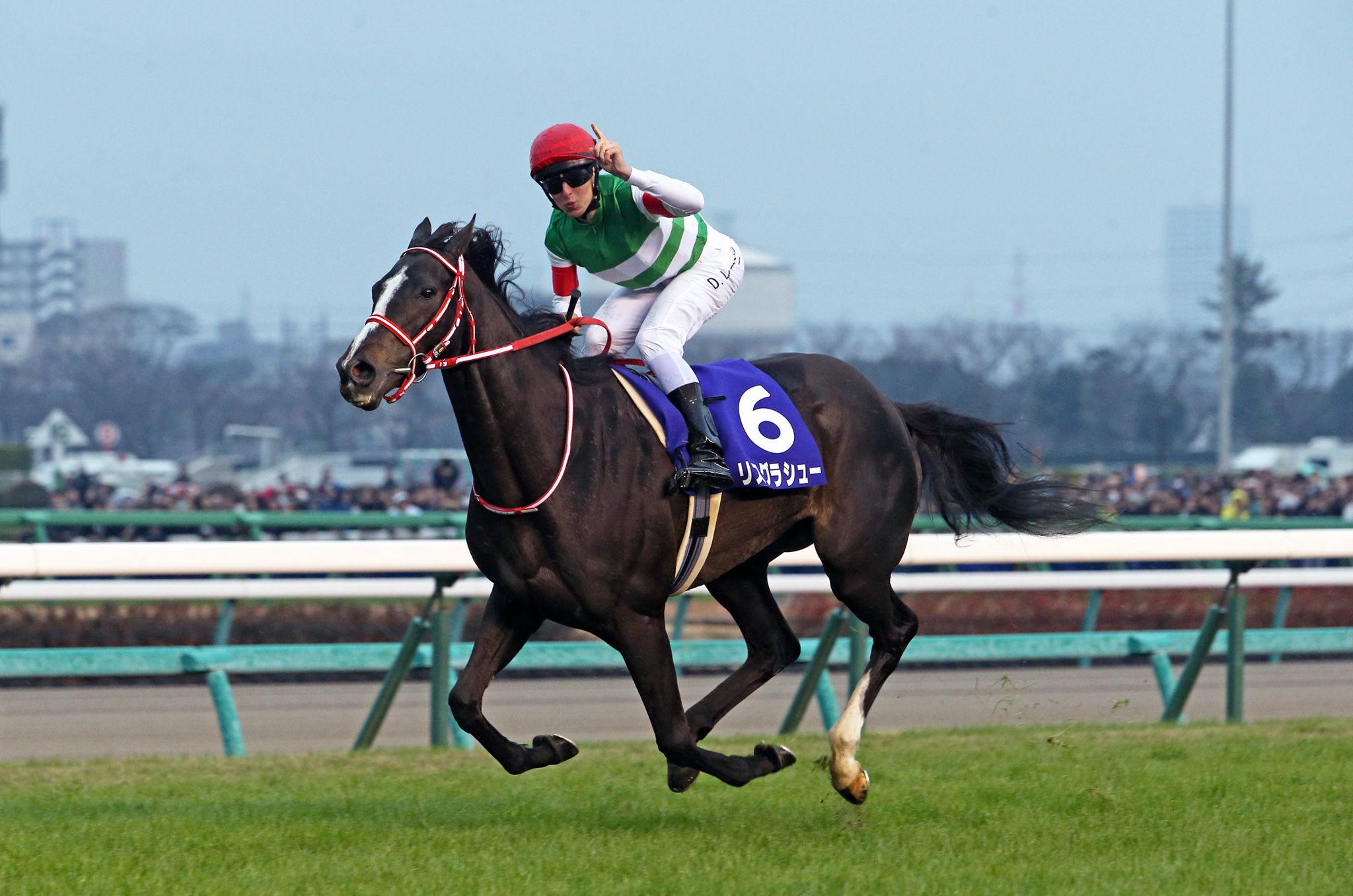 リスグラシューが有馬記念優勝、有終の美を飾る | 一般社団法人 東京