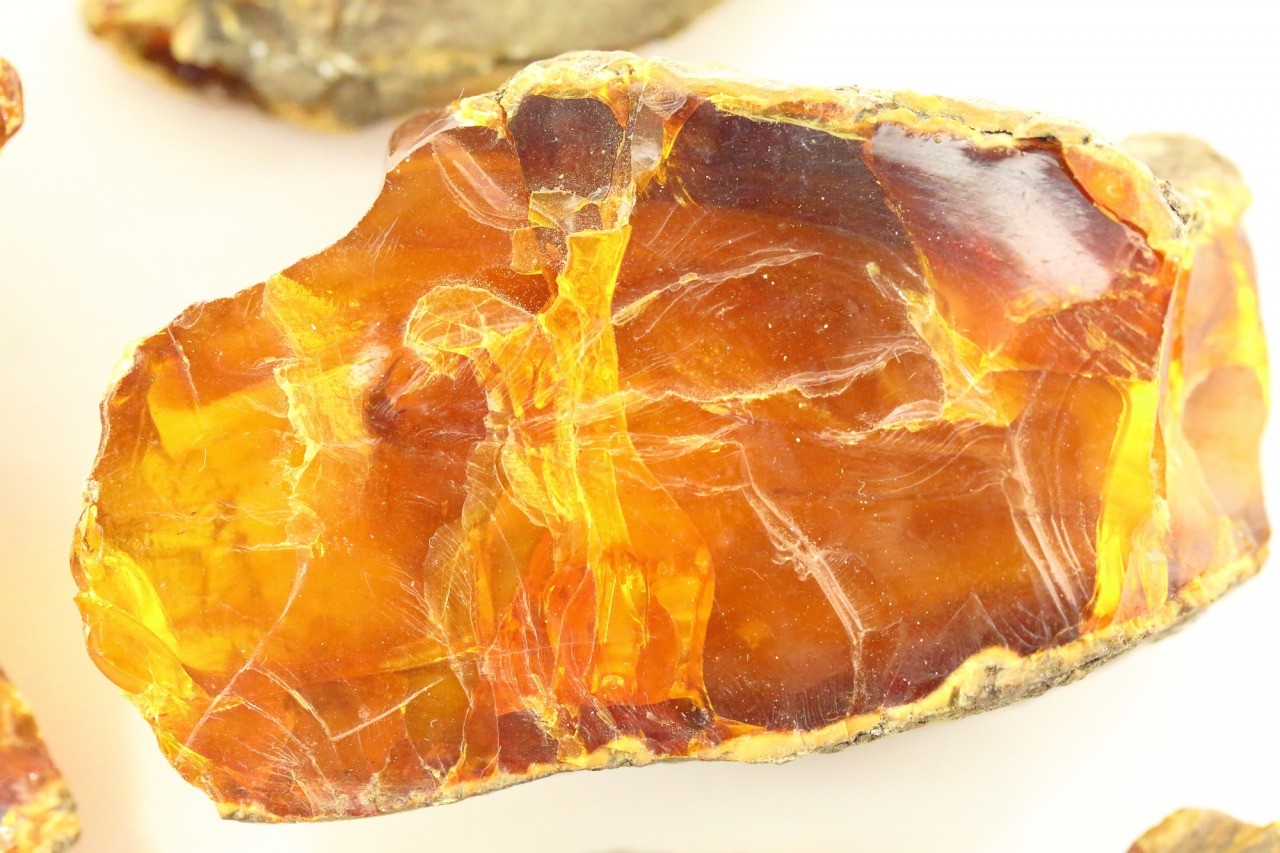 久慈琥珀博物館｜東北の観光スポットを探す | 旅東北 - 東北の観光