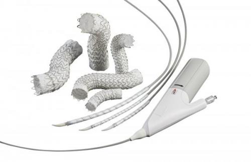 EVAR/TEVAR －ステントグラフト内挿術－｜徳島赤十字病院