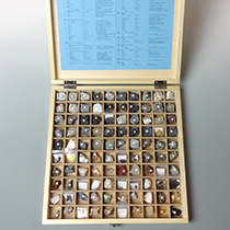 岩石標本100種−新発売！｜化石販売・鉱物販売の東京サイエンス