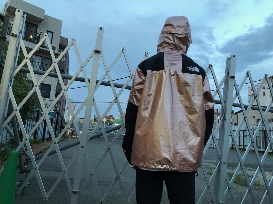 Supremex The North Face/シュプリーム × ノースフェイス】より18SSの