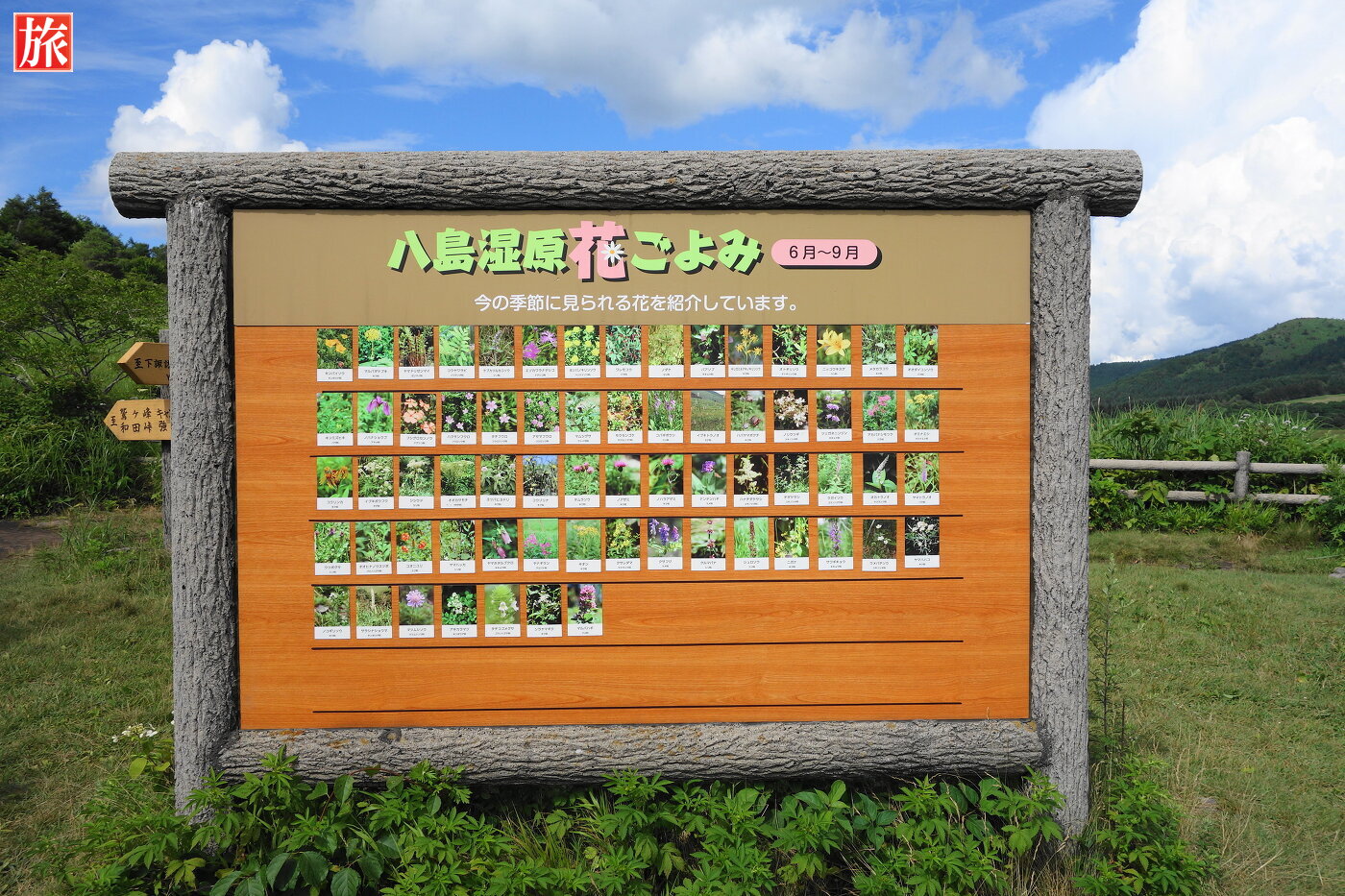 八島ヶ原湿原 観光- 旅案内 たびあん