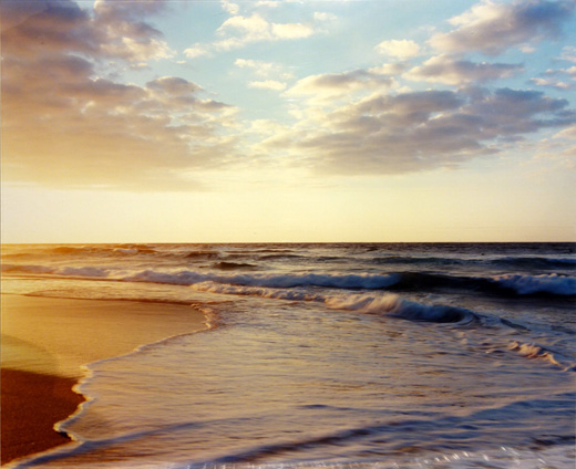 NEW WAVESNEW WAVES|ホンマタカシTakashi Homma