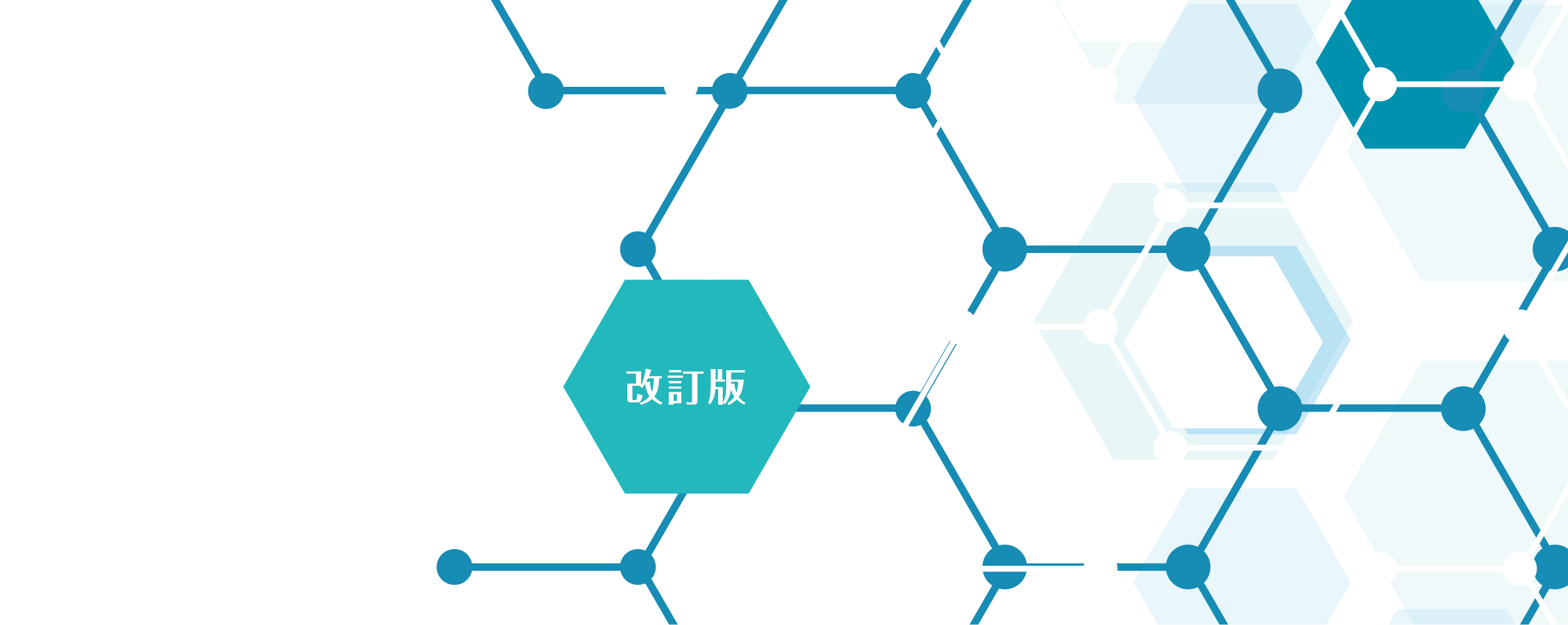 改訂版英語学習のメカニズム | 大修館書店