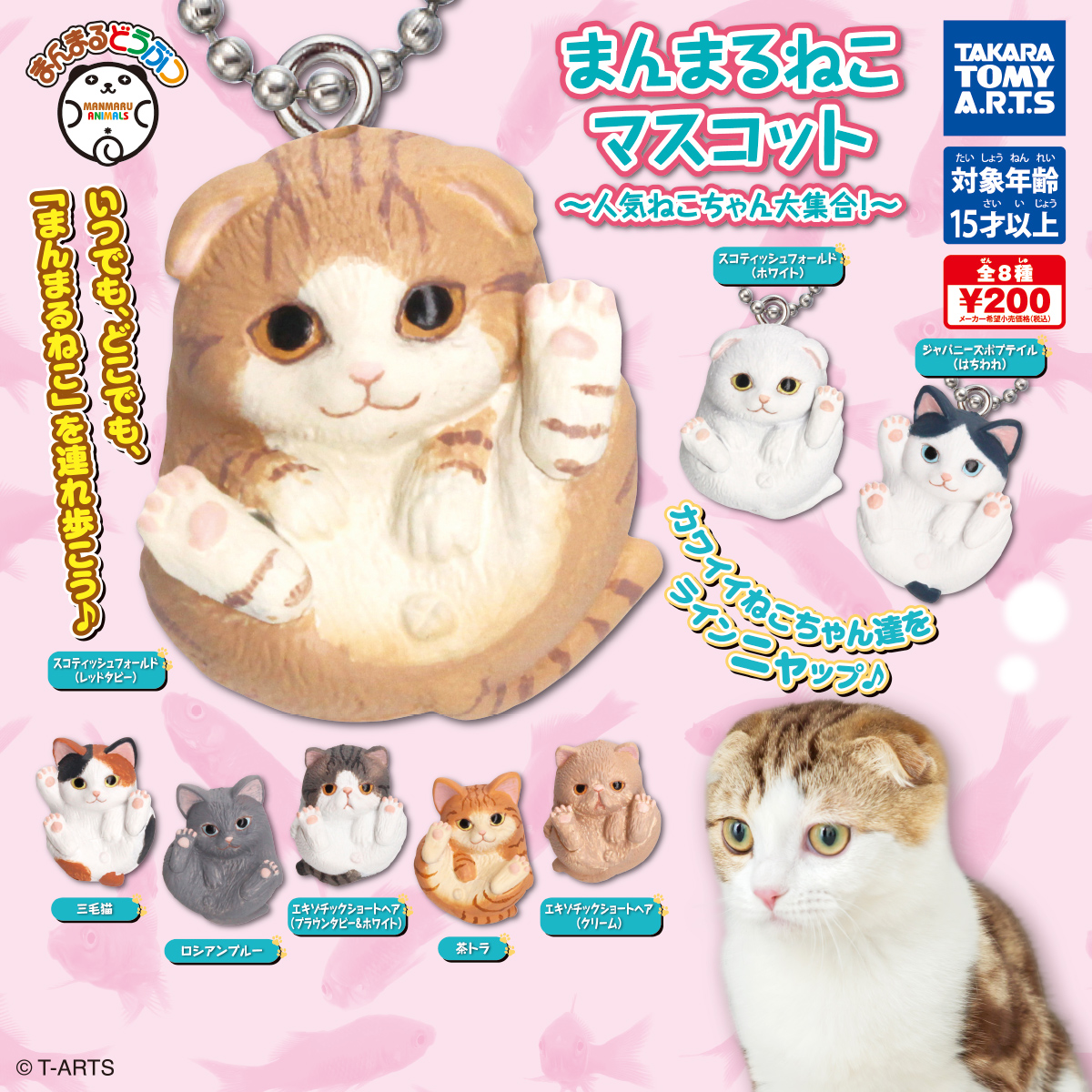 まんまるどうぶつ まんまるねこマスコット ～人気ネコちゃん大集合