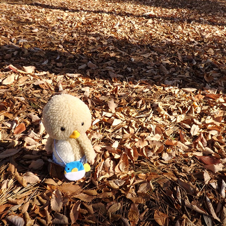 東京トガリ 1/1ぬいぐるみ おすわりVer.｜タカラトミー