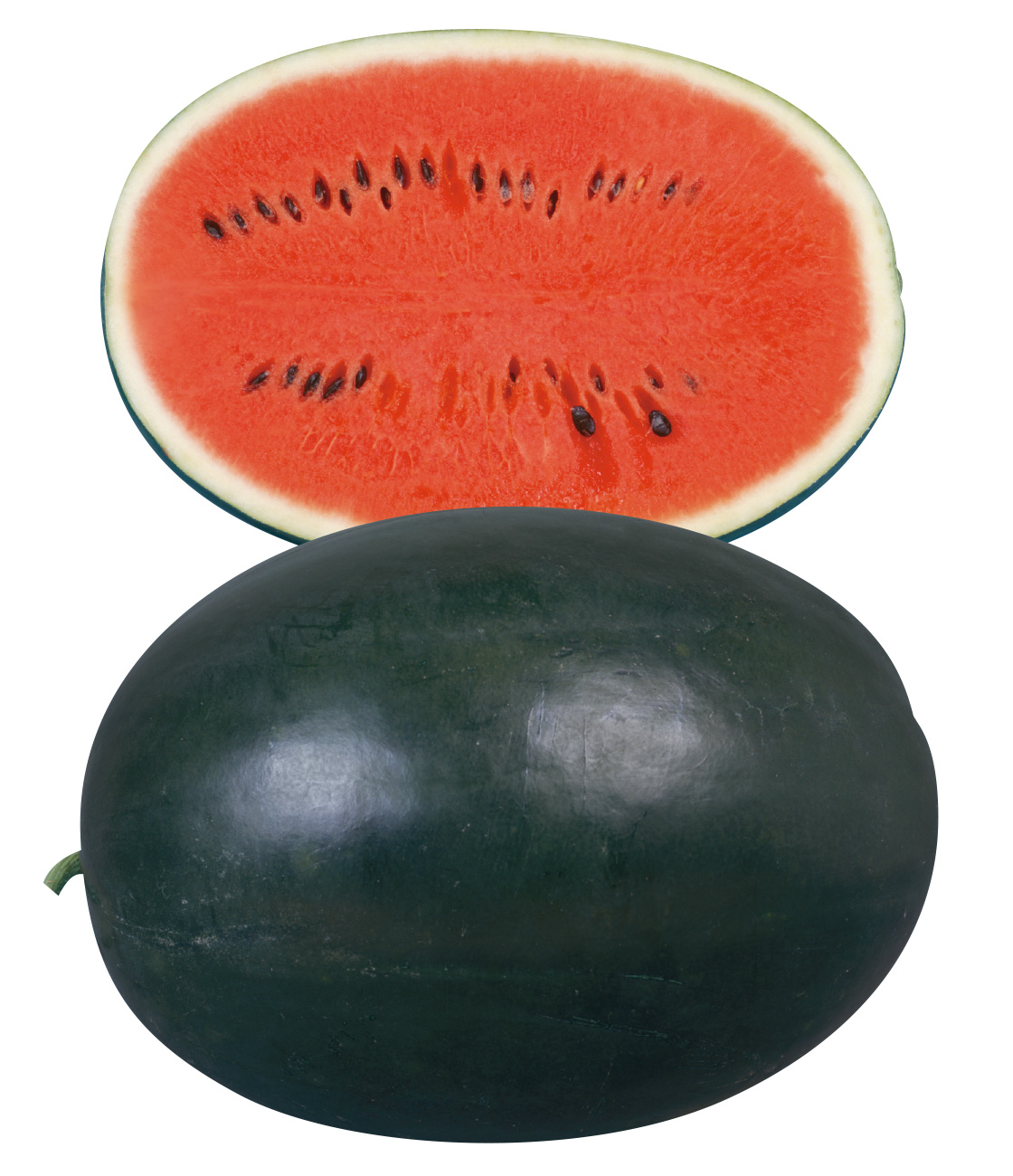 ピロマスタ2 スイカ ｜ 品種カタログ ｜ タキイの野菜【タキイ種苗】