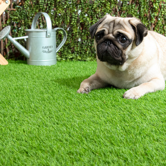 1m×10m] 超高密度 人工芝 高耐久 芝丈20mm 人工芝ロール U字ピン24本付