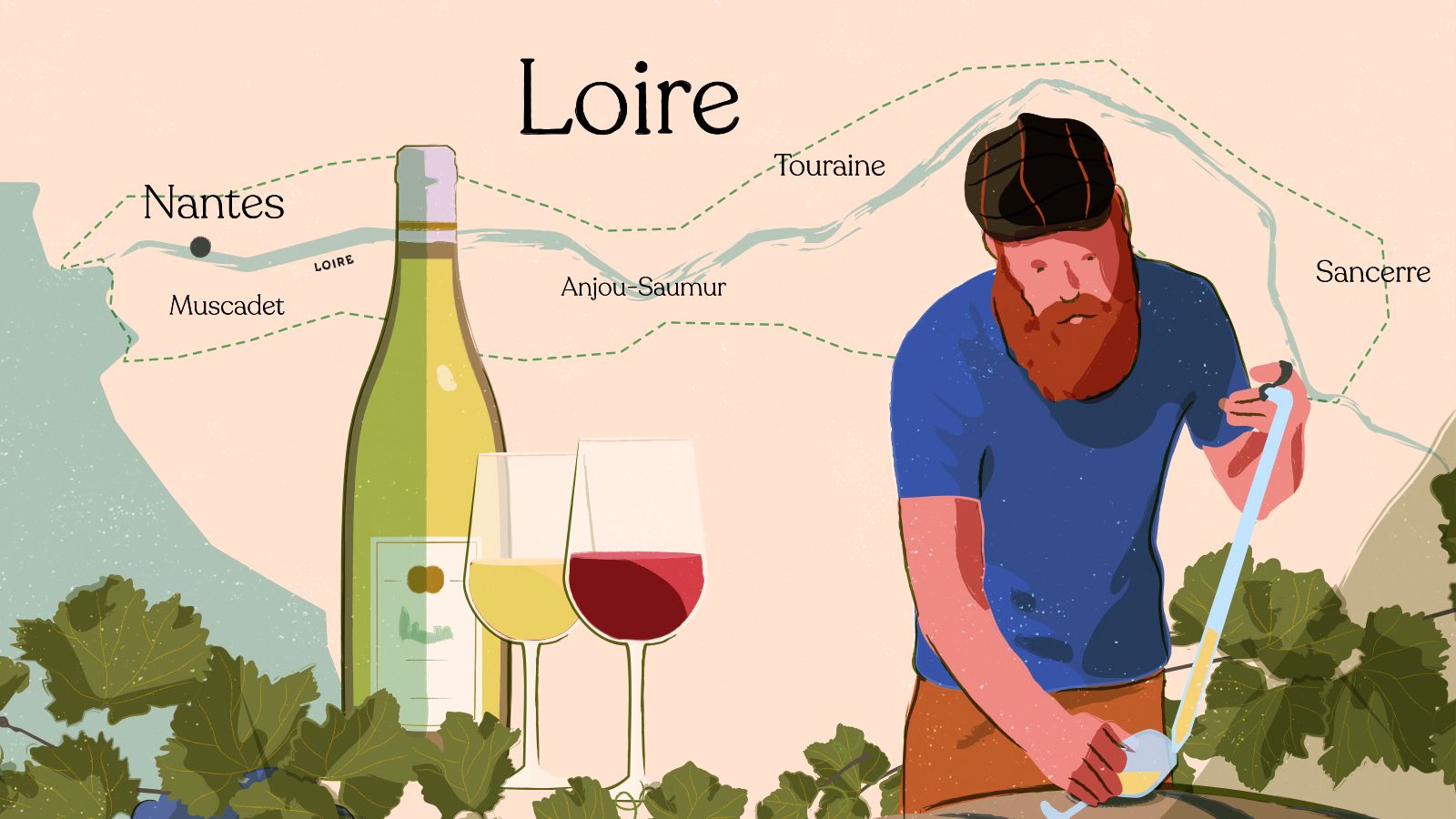 ロワールのテロワール：多様性に富んだ銘醸地 | Taste France Magazine