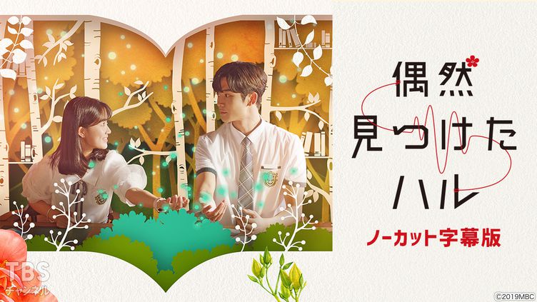 韓国ドラマ「偶然見つけたハル」ノーカット字幕版｜ドラマ・時代劇