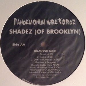 Shadez Of Brooklyn (Pandemonium Wrekordz) in New York City | Rap