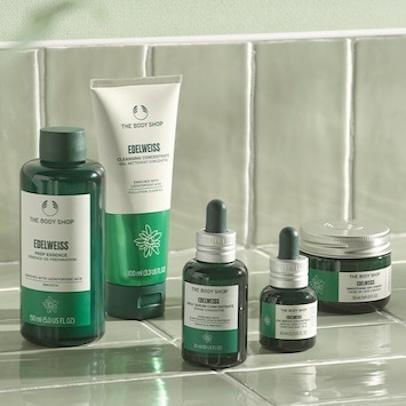 フェイスケア｜THE BODY SHOP (ザボディショップ)