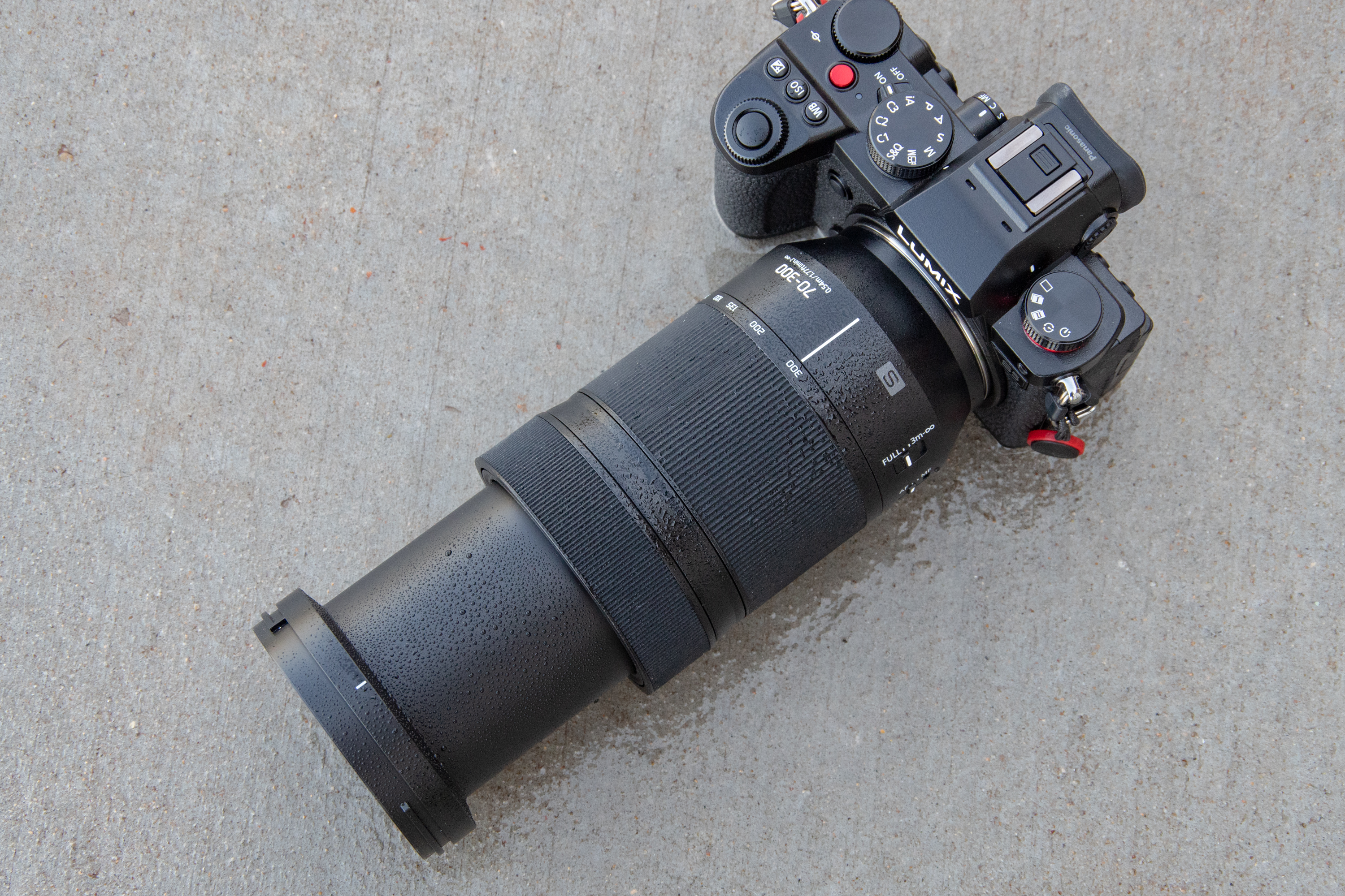 A Great Telephoto For L Mount: Panasonic 70-300mm F4.5-5.6 Review