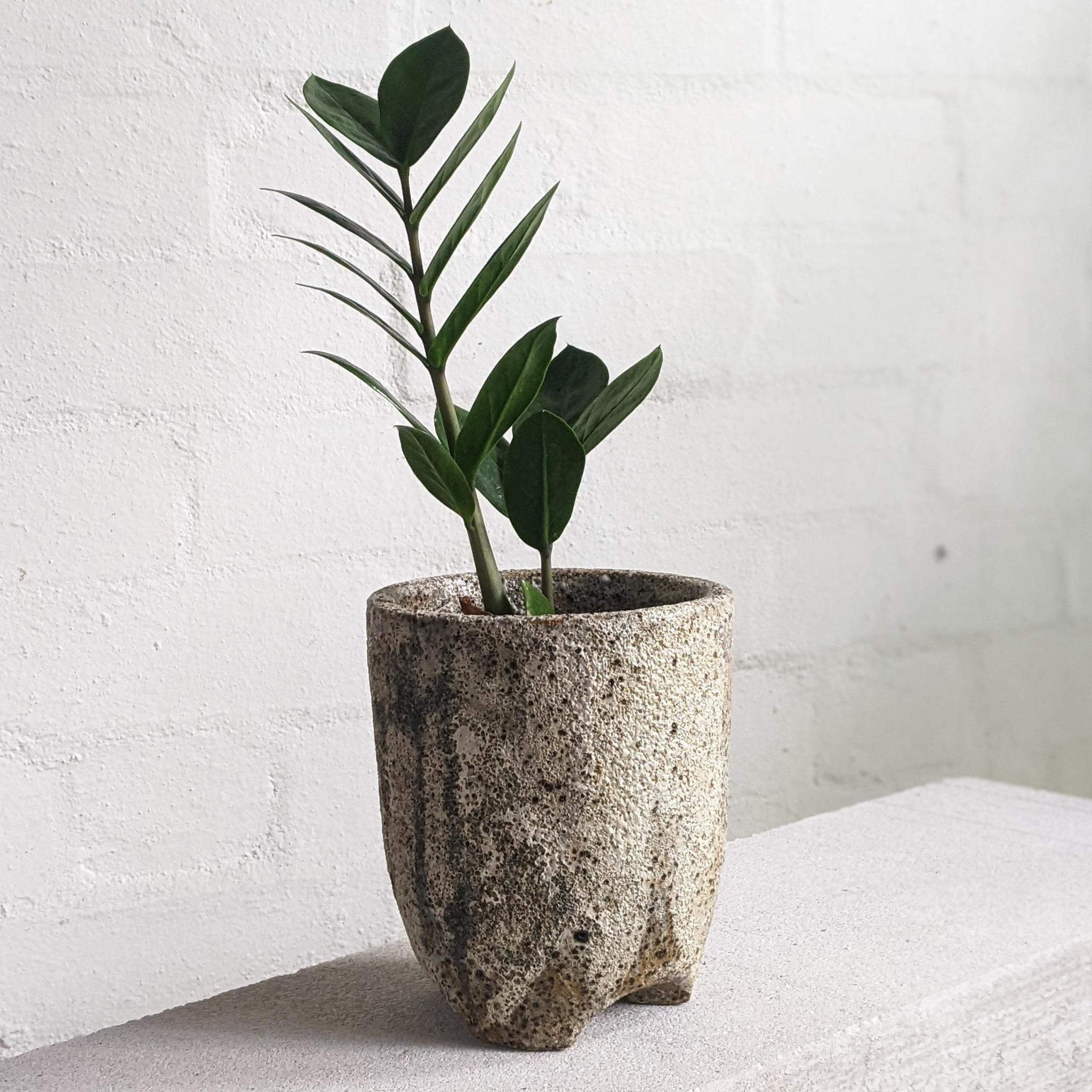 トールトライポッド プランター by Buzzby & Fang I 植木鉢 I プラント