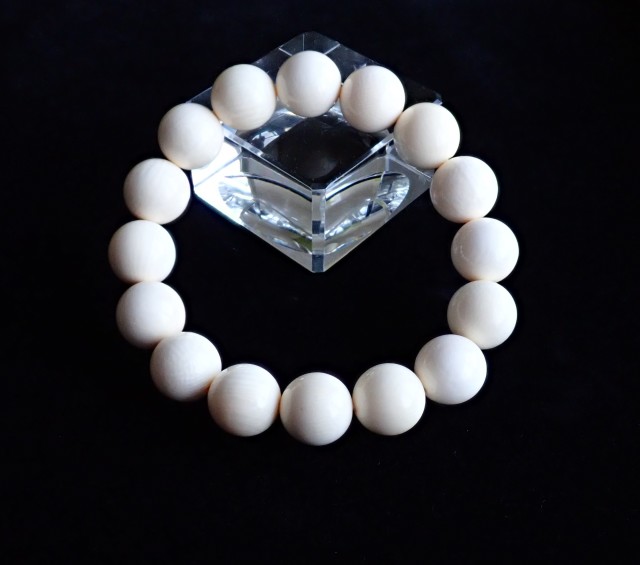 MJ0017 【限定価格】 ☆当店初入荷☆ マンモス 牙（マンモス