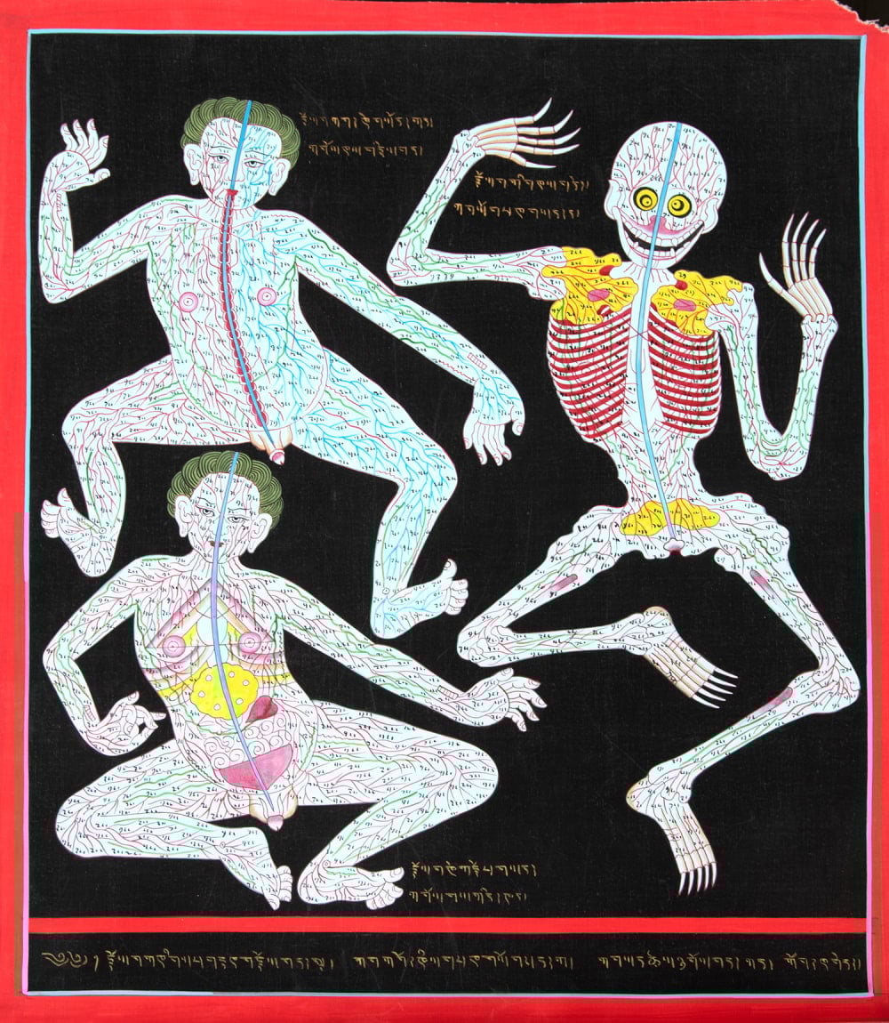 希少）チベット 医学書 ヴィンテージ 大型本 ヨガ 瞑想 健康 希少