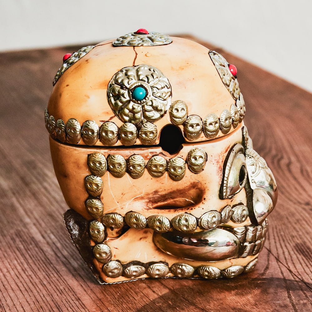 送料無料 骸骨 ガイコツ スカル 髑髏 頭蓋骨杯 カパラ 約14cm×11cm