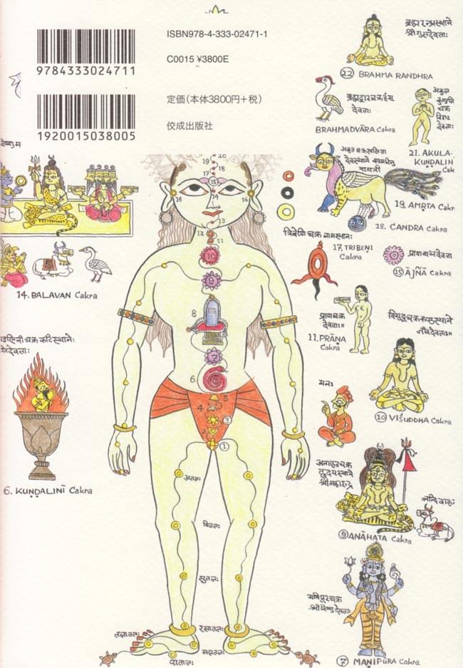 図説 ヨーガ大全 の通販 - TIRAKITA.COM