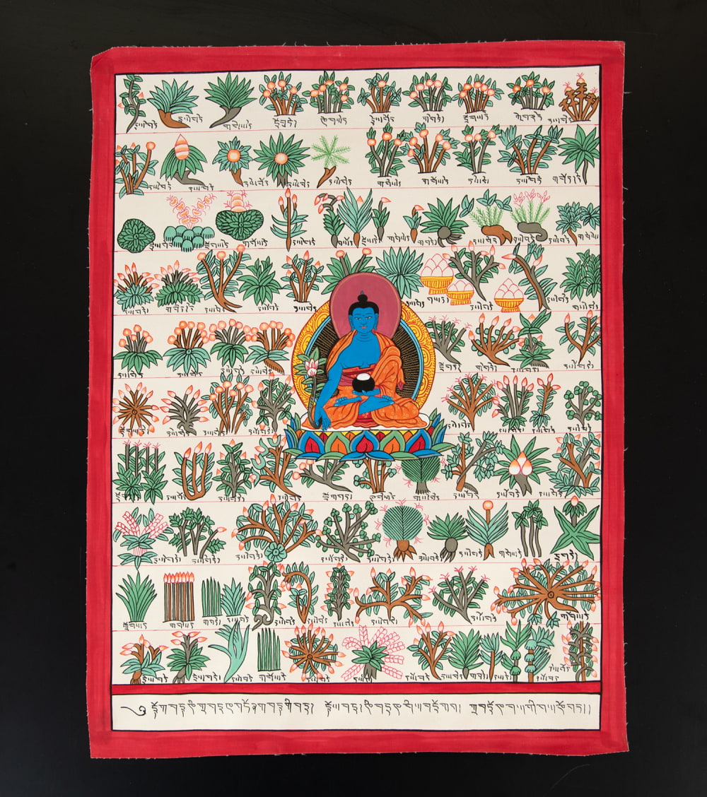 一点物〕タンカ - チベット医学四部医典薬草図[36x48cm] の通販[送料