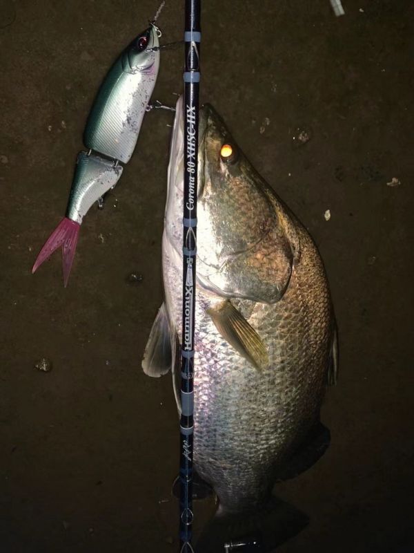 ロッド]ツララ Harmonix Corona80 XHSC-HX（ハーモニクス コローナ80