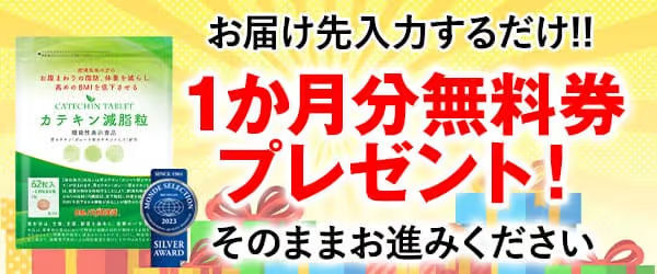 カテキン減脂粒31日分980円／1ヶ月分プレゼント！茶カテキンがお腹回り