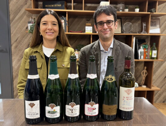 トスカニー イタリアワイン専門店 / ディ マーノ イン マーノ セビーノ