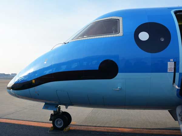 たった1機の”親子イルカ”「みぞか号」を乗り倒す旅 天草エアライン