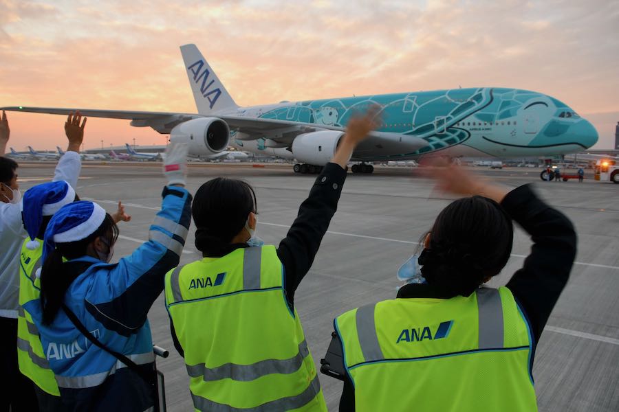 クリスマス値下げ中／a380／フライングホヌ グリーン クリスマス値下げ