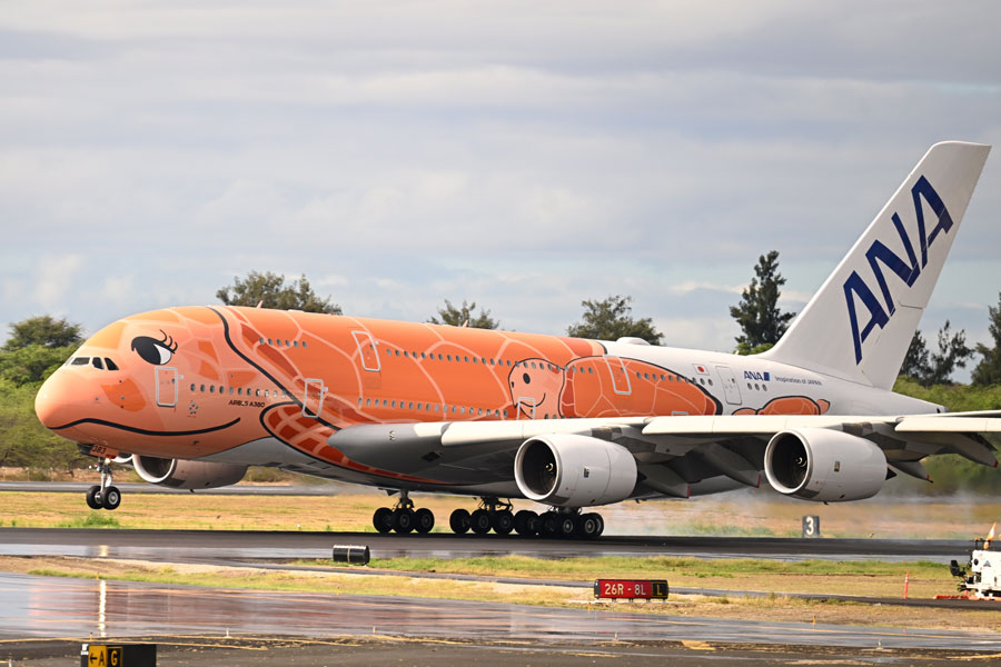 ANAの「フライングホヌ」3号機初便、ホノルルに到着 - TRAICY