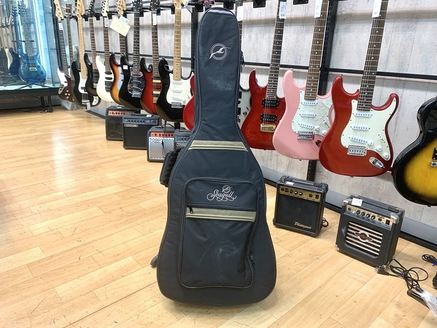 Seagull(シーガル）のエレアコAmber Trail SG T35が買取入荷しました