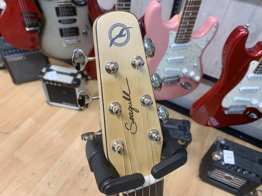 Seagull(シーガル）のエレアコAmber Trail SG T35が買取入荷しました