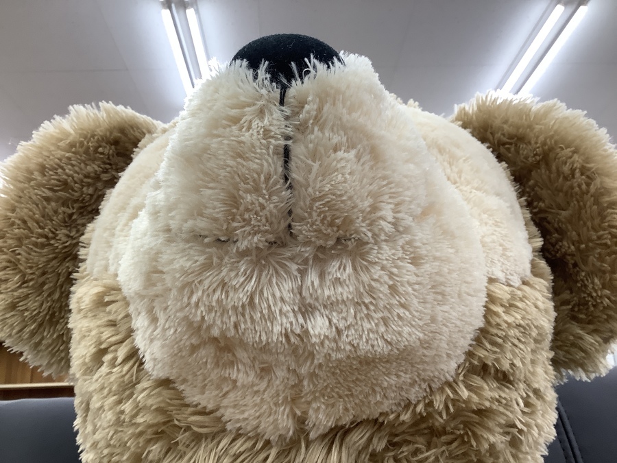 スマホで購入】DISNEY(ディズニー）Duffy(ダッフィー)の特大ぬいぐるみ