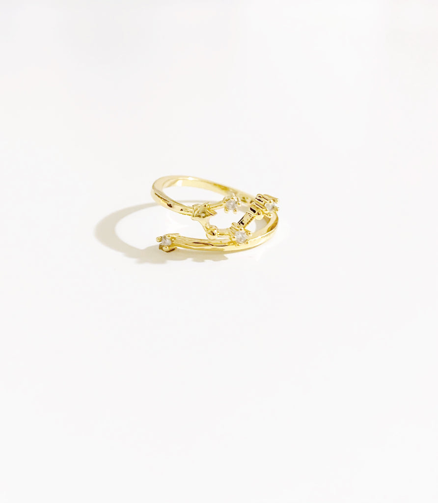 2990(M/L)[星座リング] 12. 魚座(diamond)[2025年プチ占い付] | Twin Angie