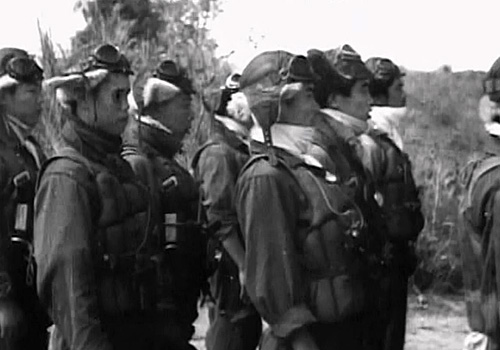 公式】ユーキャンの通販ショップ 大日本帝国 陸海軍航空隊 DVD全6巻