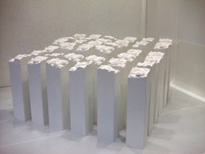 BIOMECANICA――河口洋一郎の異形博物誌」展によせて