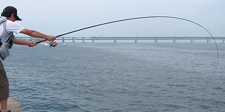 ダイワ DXR エアチューン 1.15号-50 - フカセでチヌ！