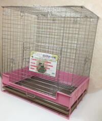 うさぎの専門店 うさぎの丘