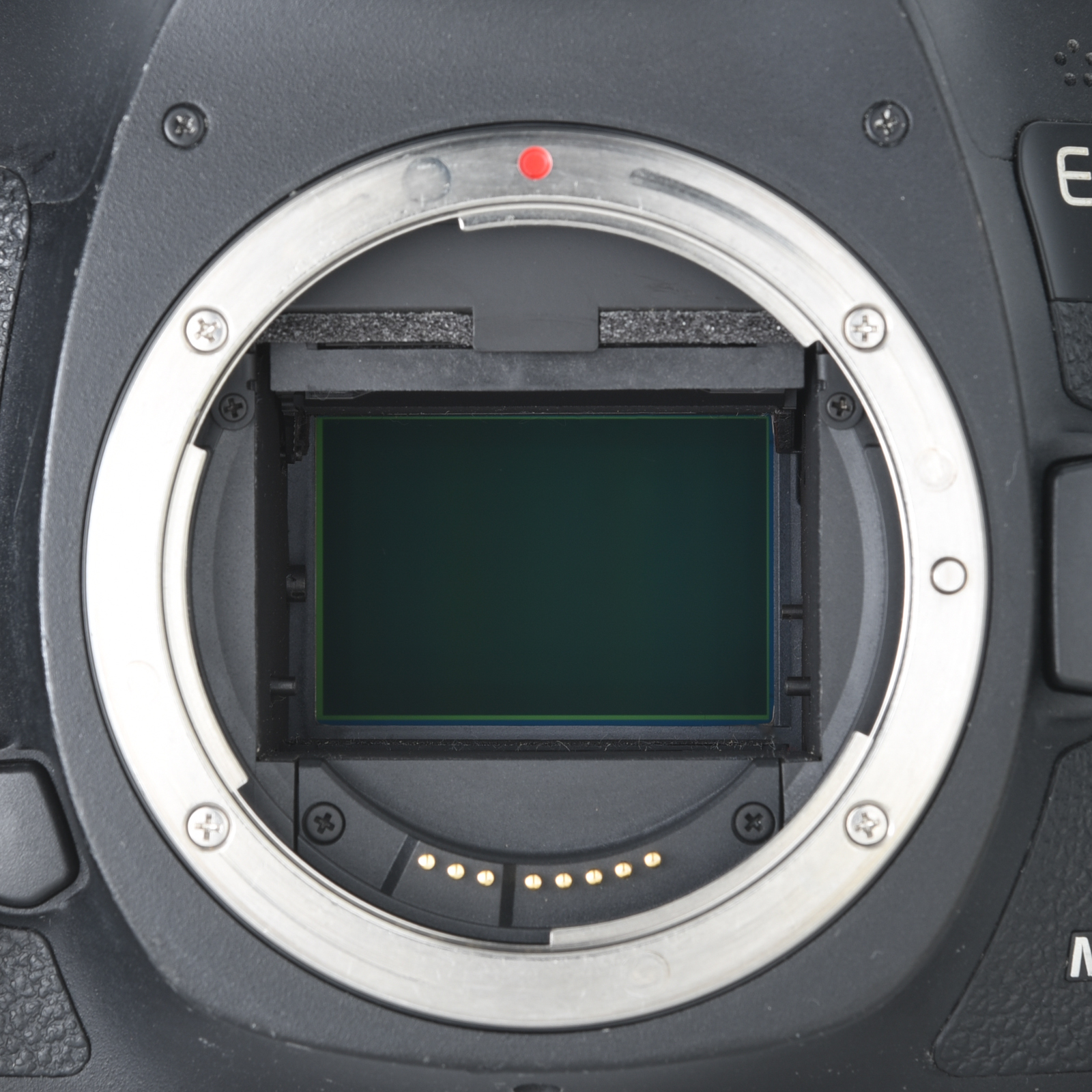 📸 Canon EOS 5D Mark III Digital SLR From Japan Tested [Exc+3