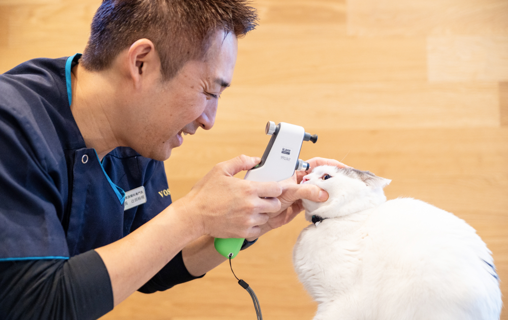 どうぶつ眼科専門クリニック｜理念、院長挨拶、スタッフ紹介など｜私