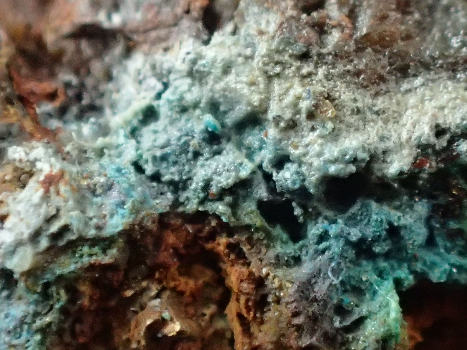 最高品質キマンジュ石（Cumengeite） 和歌山県串本町産 ｜石の販売専門