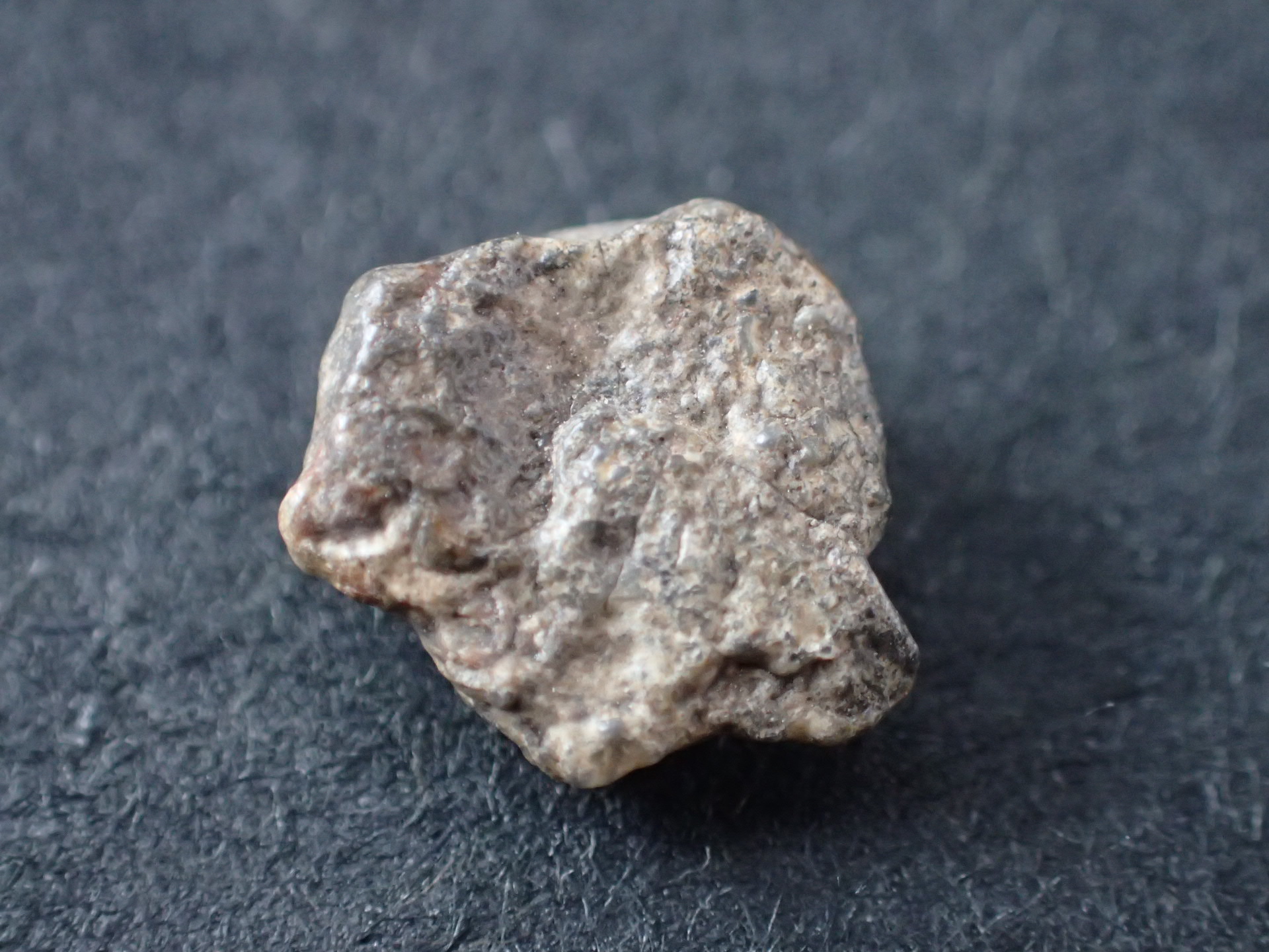 最高品質月から飛来した隕石(Lunar Meteorite Bechar 003) 落下地