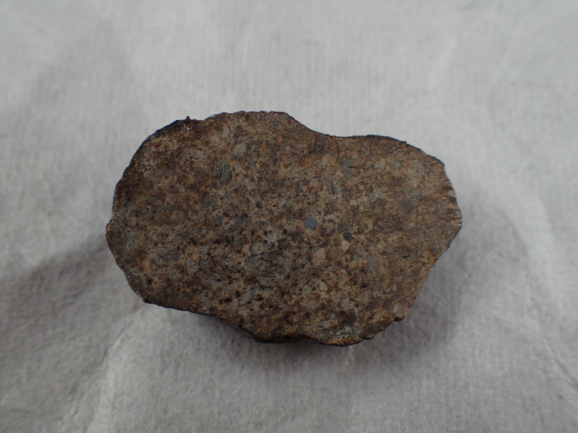 最高品質石質隕石（NWA869 Condrite） L4-6 コンドライト Foud