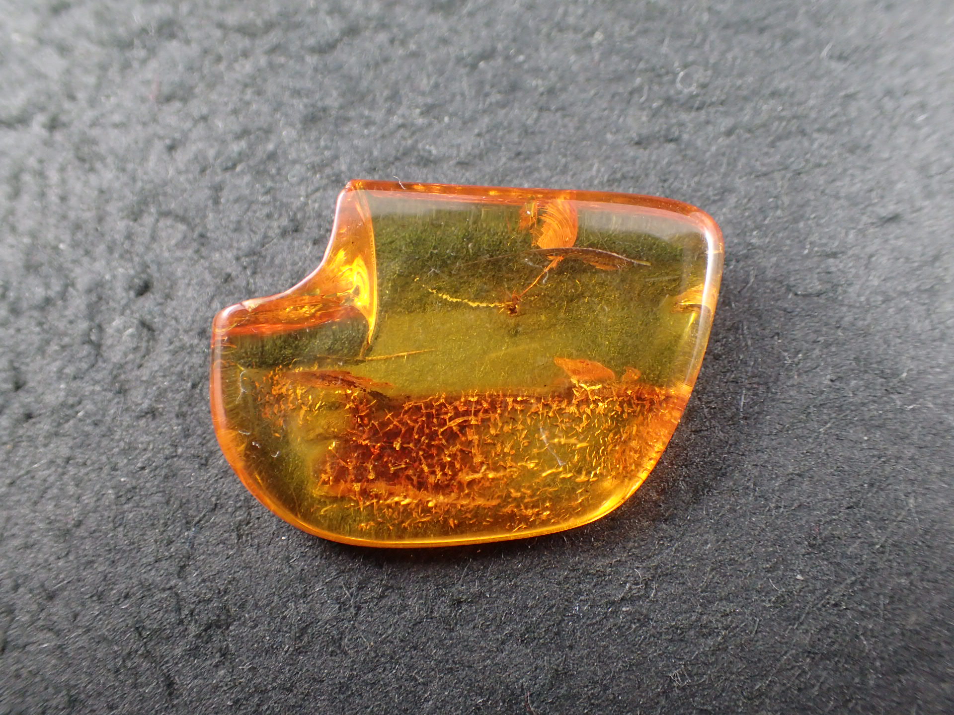 最高品質天然虫入り琥珀(Insect in Amber) Lithuania ( Nordic Baltic